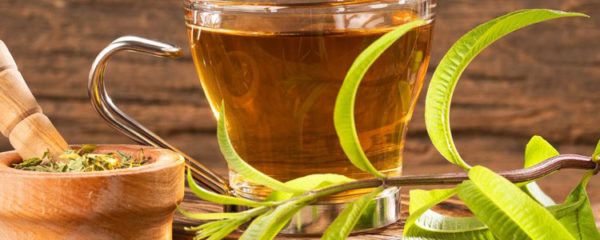 verveine en thé